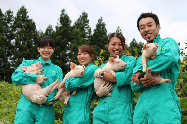 Đơn hàng Nông nghiệp chăn nuôi lợn tại Nhật bản